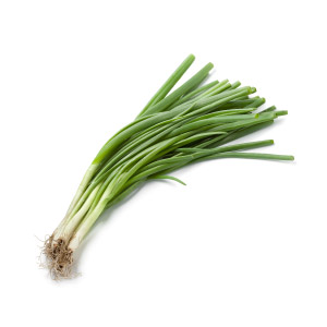 Long White Onion